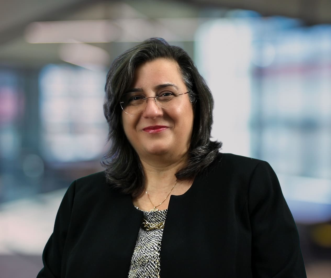 433: Women In Supply Chain™, Annie Torikian