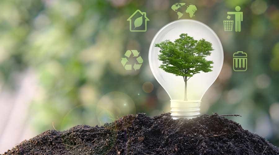 - Strategies to Mitigate Environmental Impact